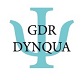 logo_dynqua80_1.jpg
